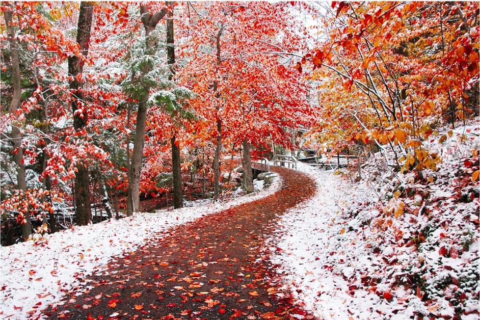 november