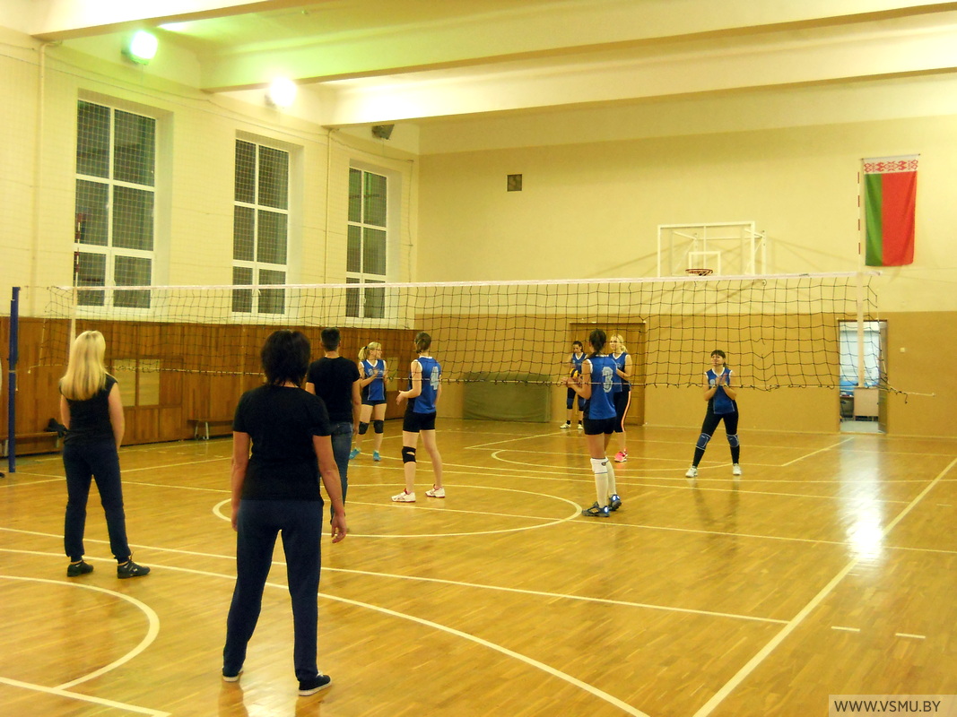 volleyballl profsotr 01
