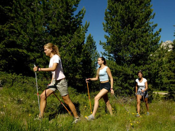 Nordic Walking 1