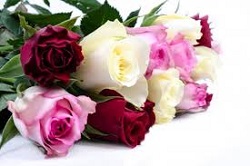 flowers june