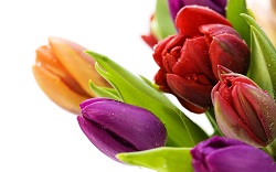 may