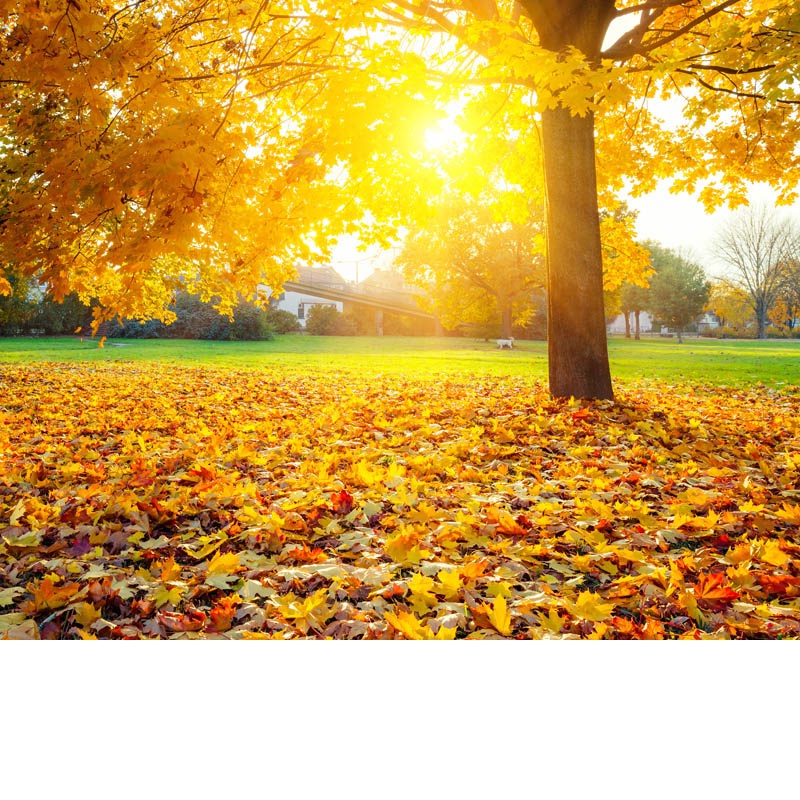 october
